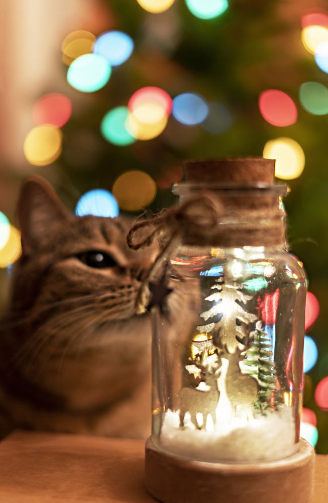 Photograph by Елена Гоосен