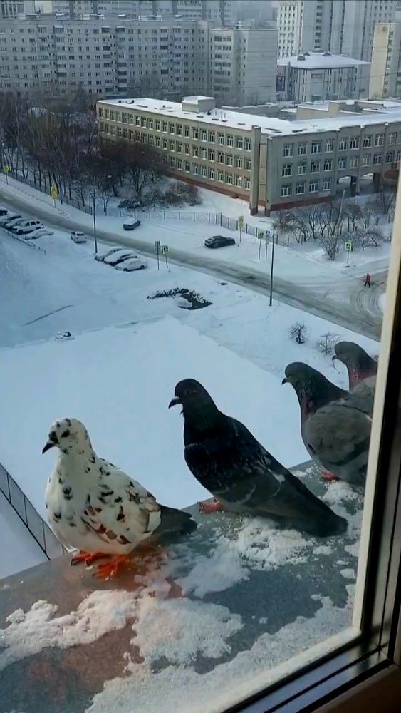 Photograph by Наталья Филянина