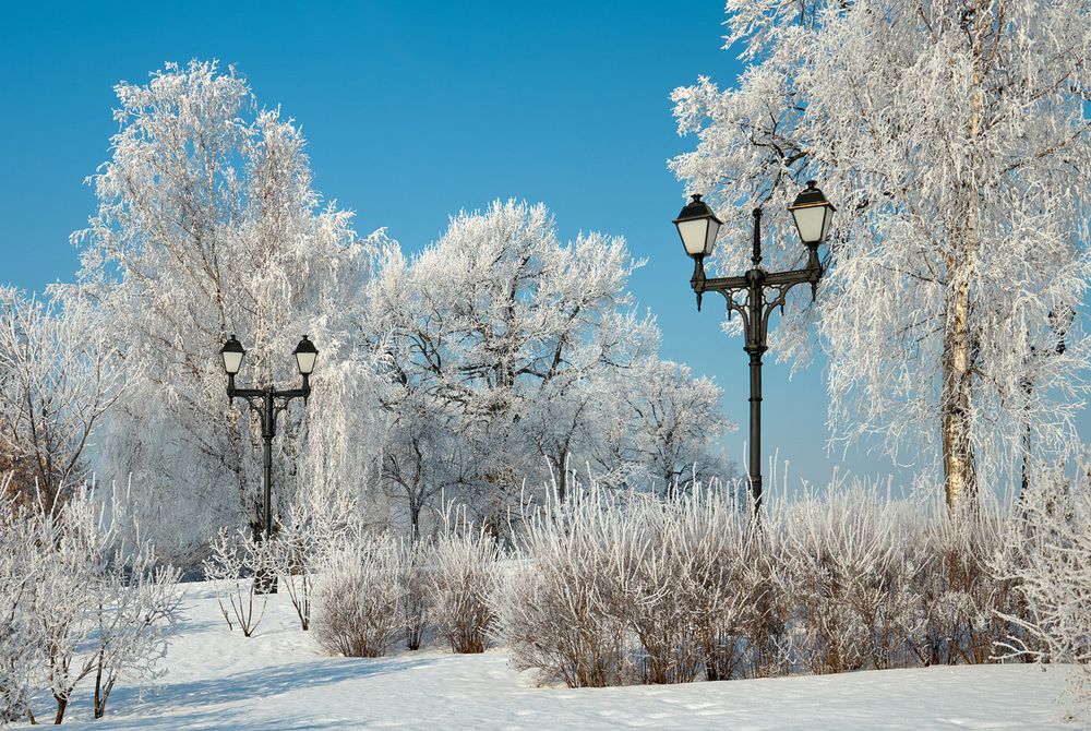 Photograph by Александр Гришин