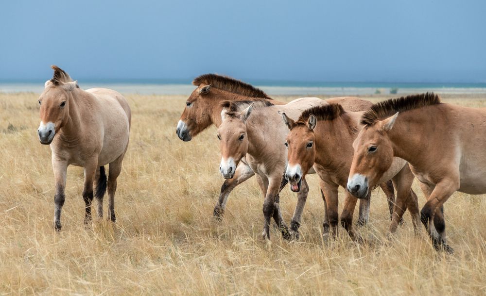 Фотография автора Анна Стрелковская