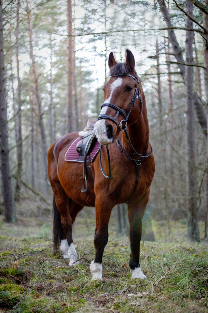 Фотография автора Lija Mežecka