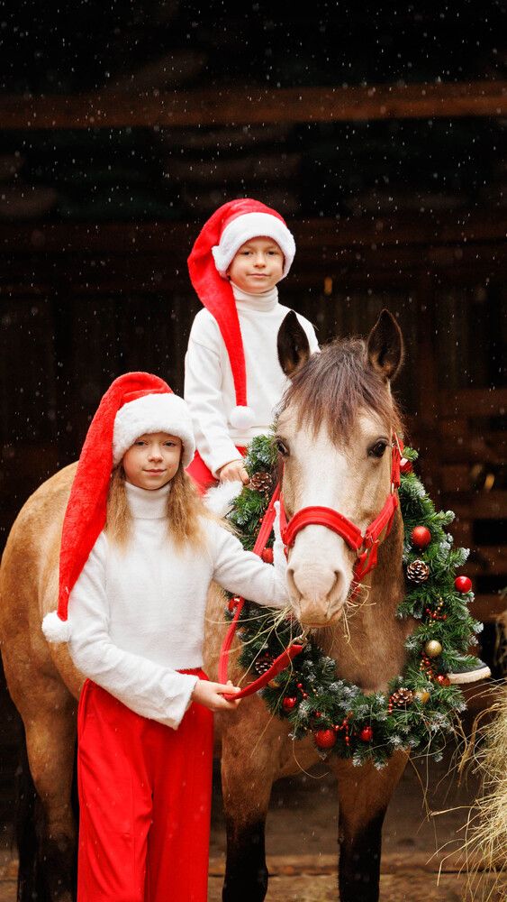 Фотография автора Елена Гордиевская