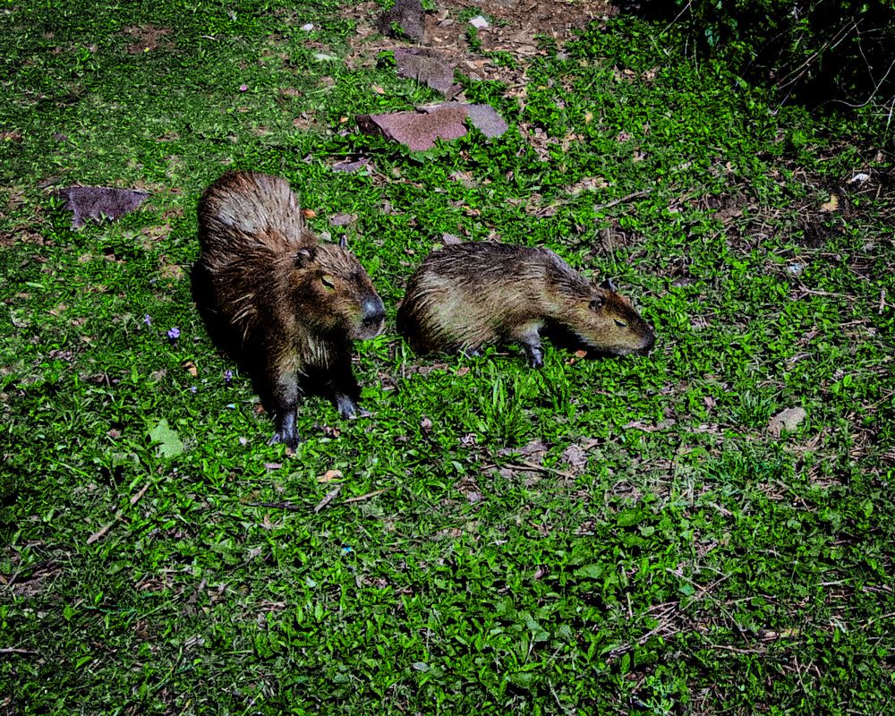 Photograph by Florencia Lovatto