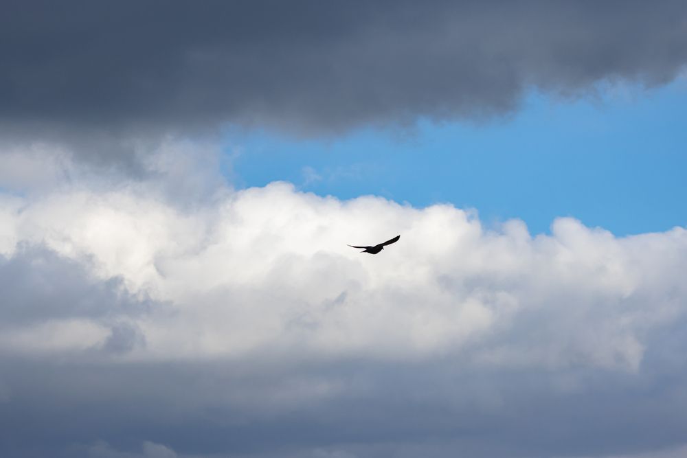 Фотография автора Miaad M PANAH