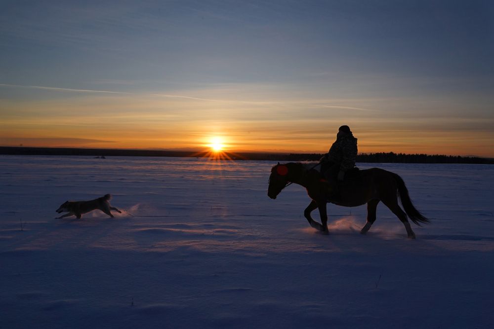 Photograph by Ольга Шангареева