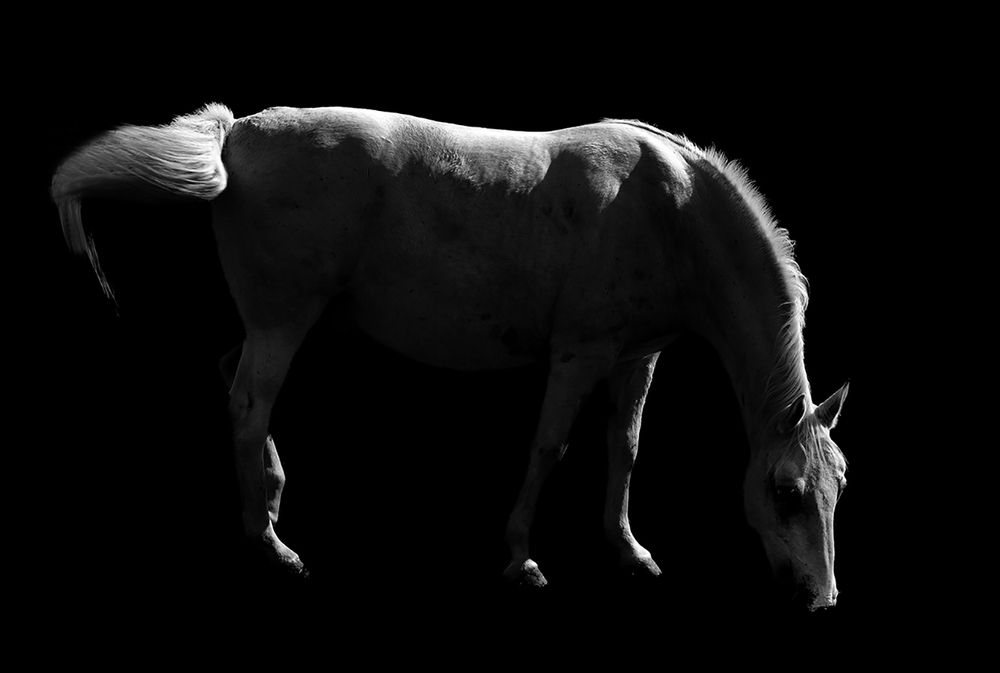Photograph by Rade Lukovic