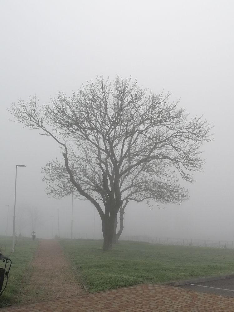 Photograph by Наталия Соболева