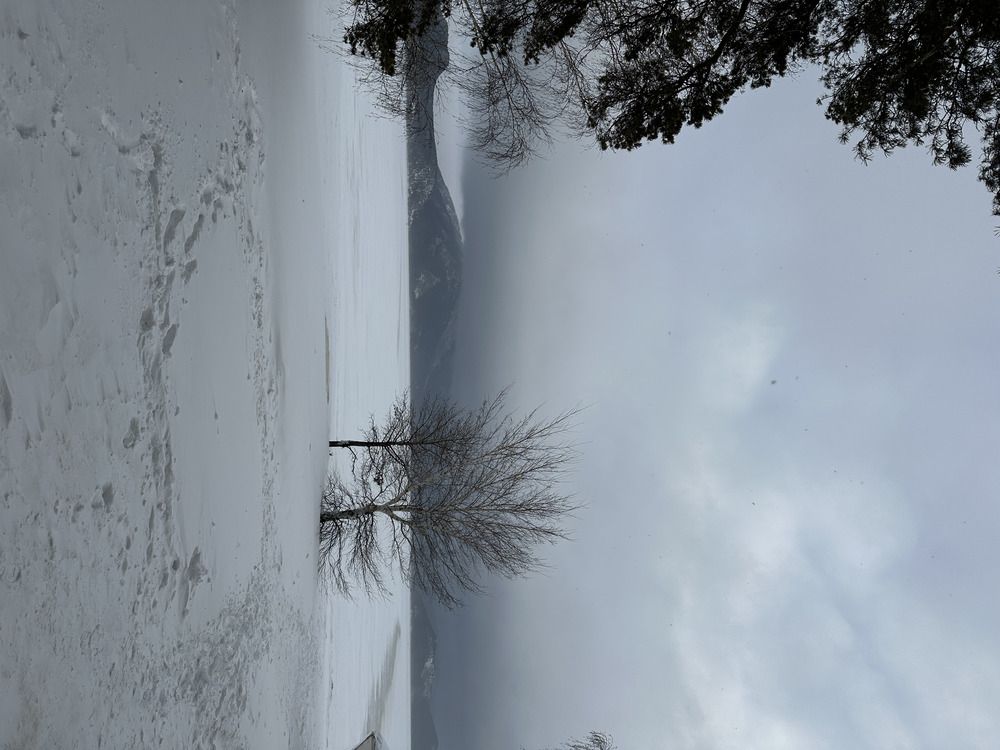 Photograph by Майра Али