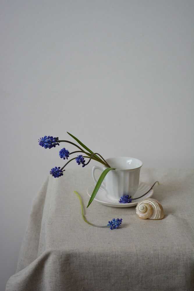 Фотография автора Ирина Дашевская