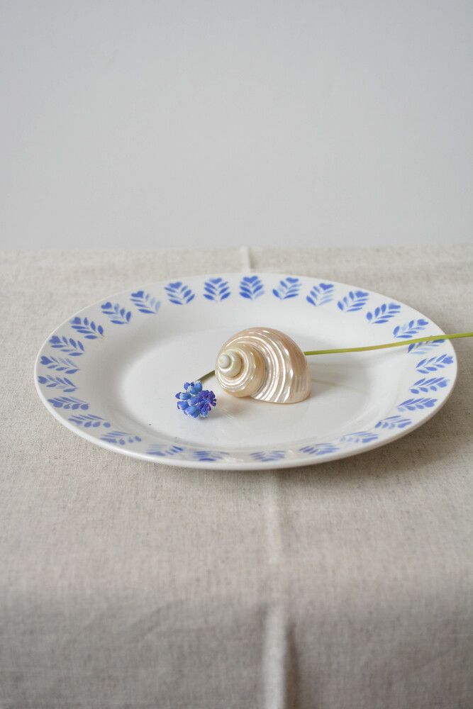 Фотография автора Ирина Дашевская