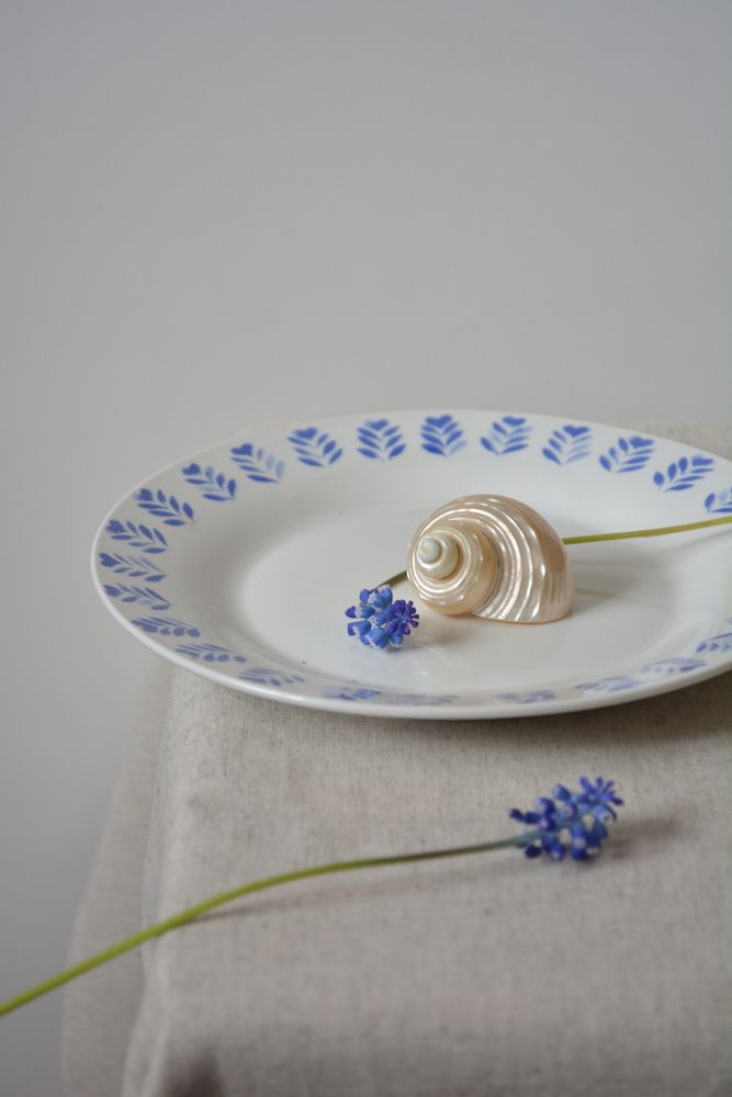 Фотография автора Ирина Дашевская