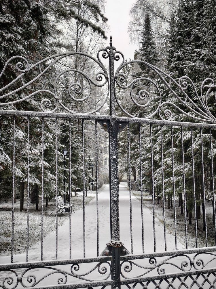 Photograph by Высотских Владимир