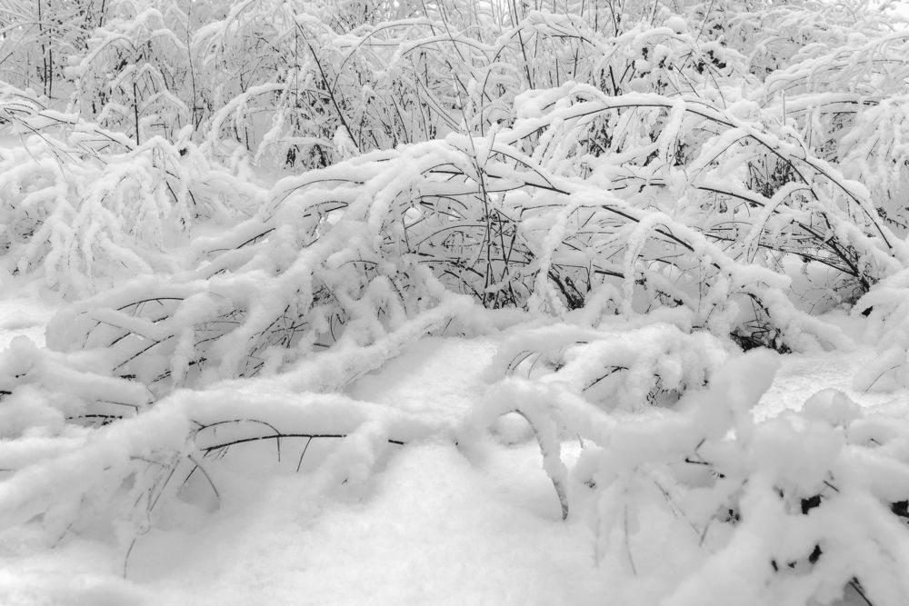 Photograph by Сергей Бурлакин