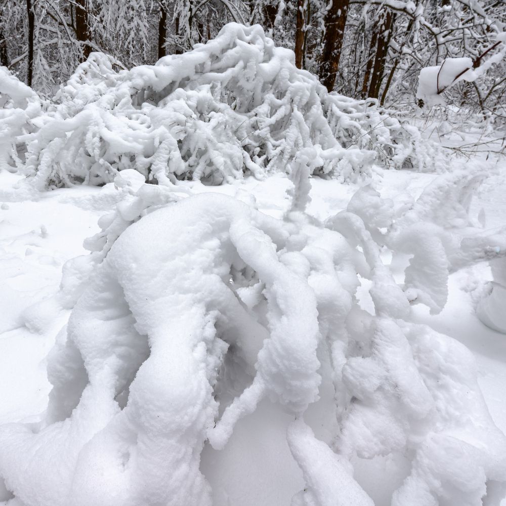 Photograph by Сергей Бурлакин
