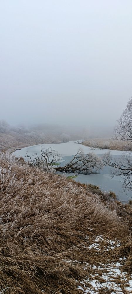 Декабрьский пейзаж