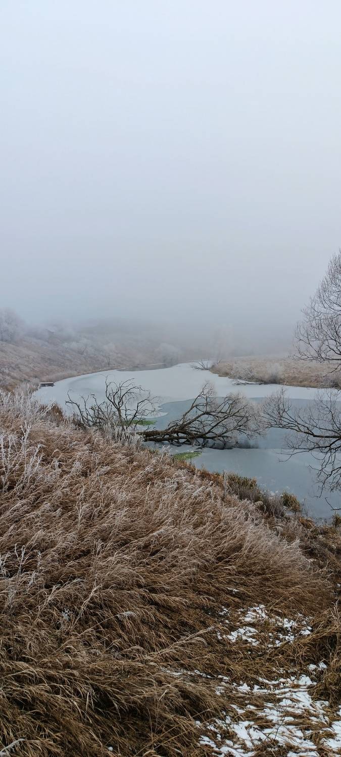 Декабрьский пейзаж