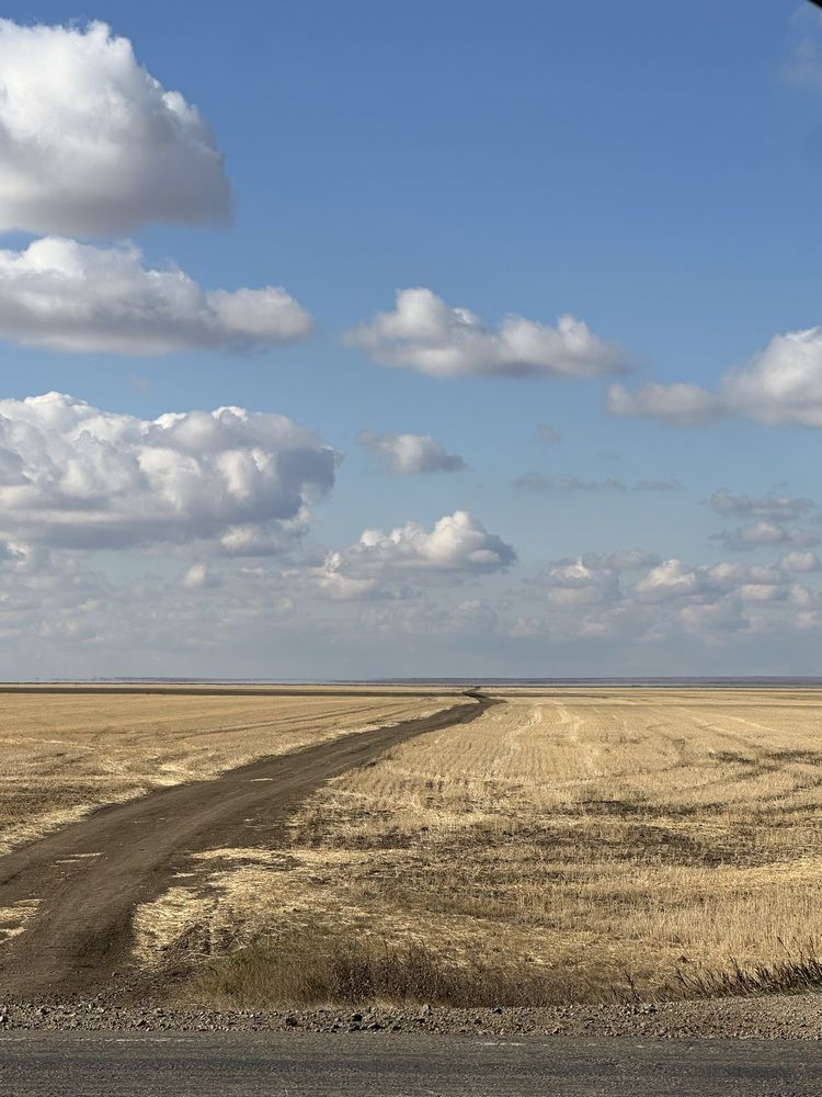 Photograph by ZHANAR JUMABEKOVA