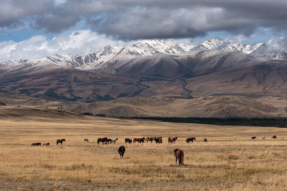 Фотография автора Максим Ватрушкин