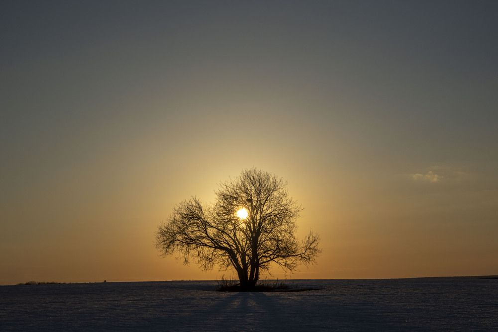 Фотография автора Злобин Сергей