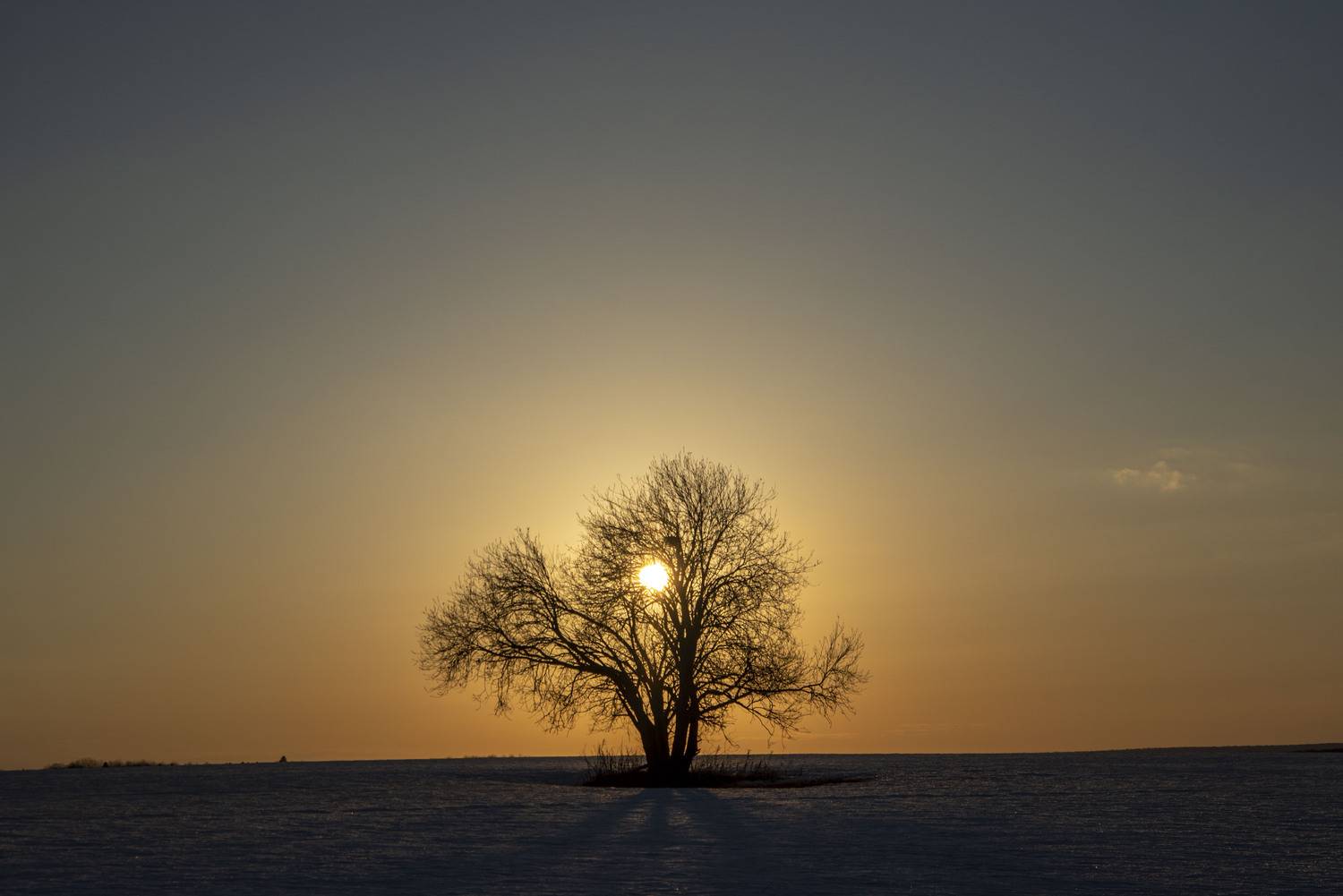 Фотография #12995357