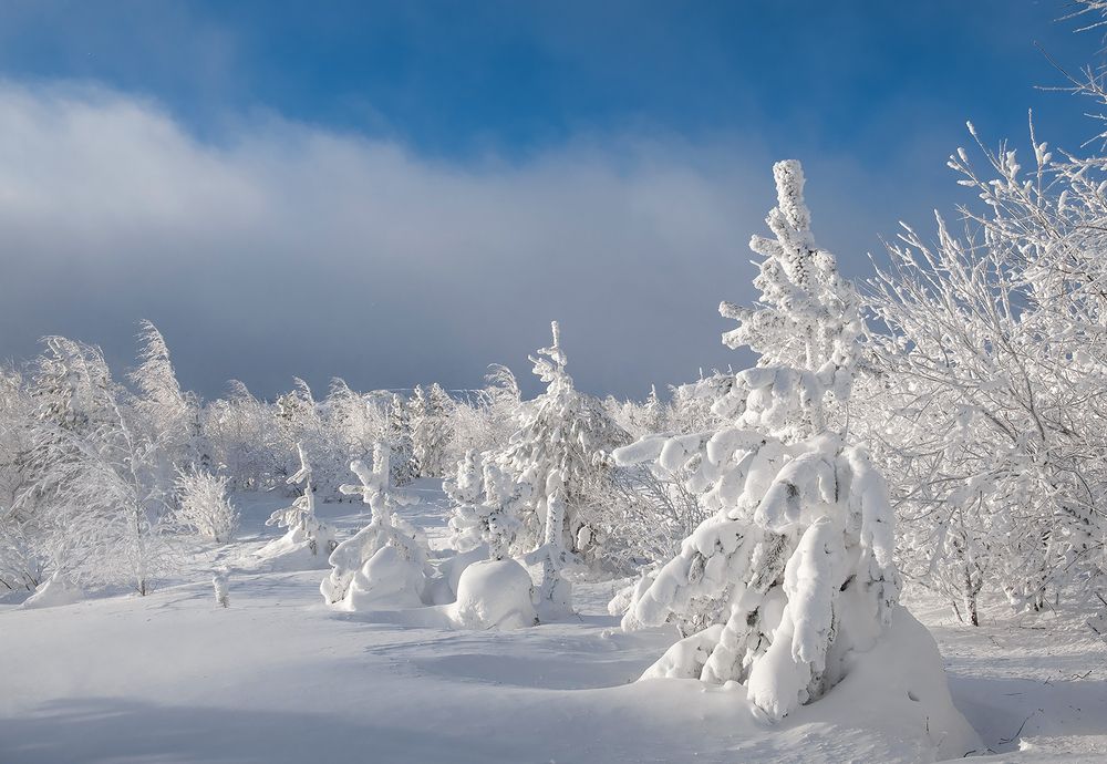Где то в Бурятии