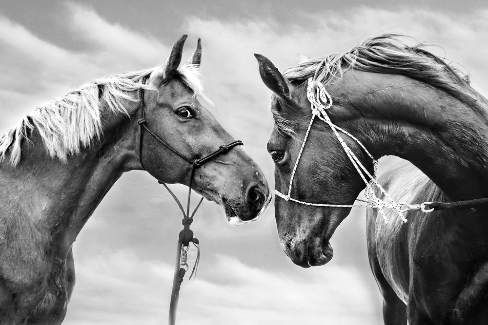 Photograph by Eizenija Freimane