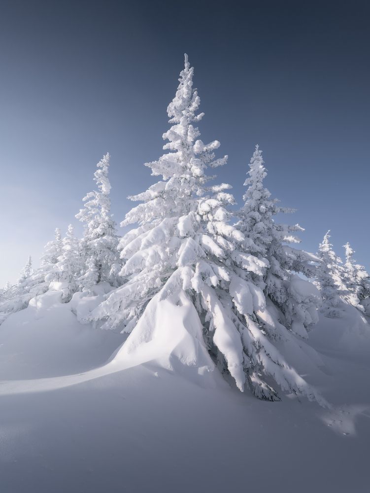 Photograph by Дубровинский Михаил