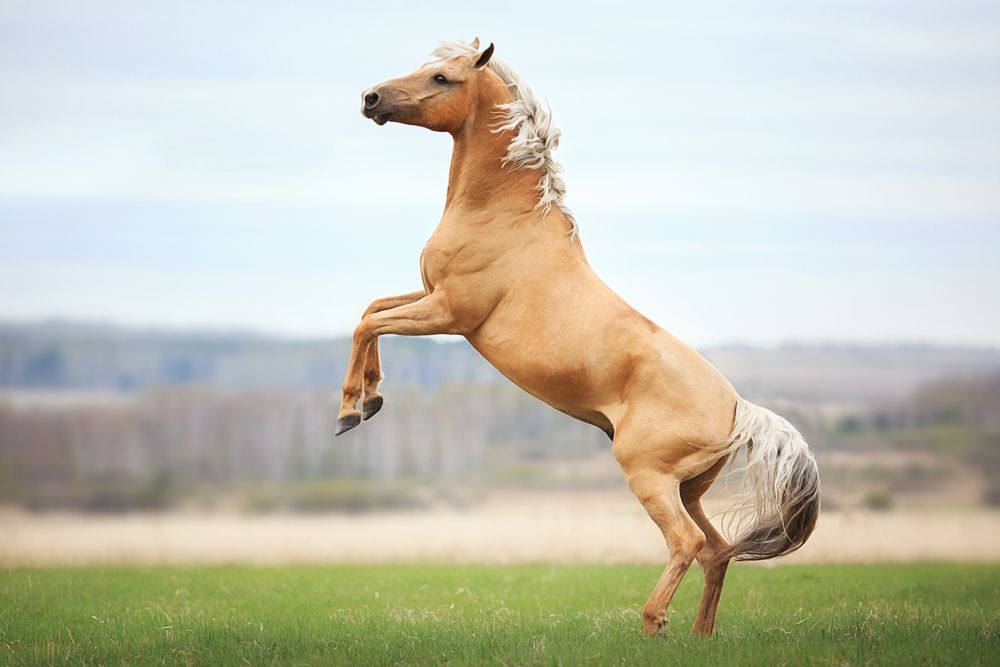 Photograph by Дарья Ералева