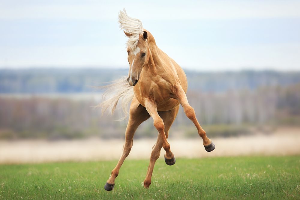 Photograph by Дарья Ералева
