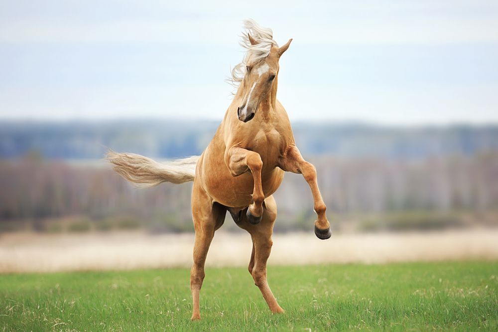 Photograph by Дарья Ералева