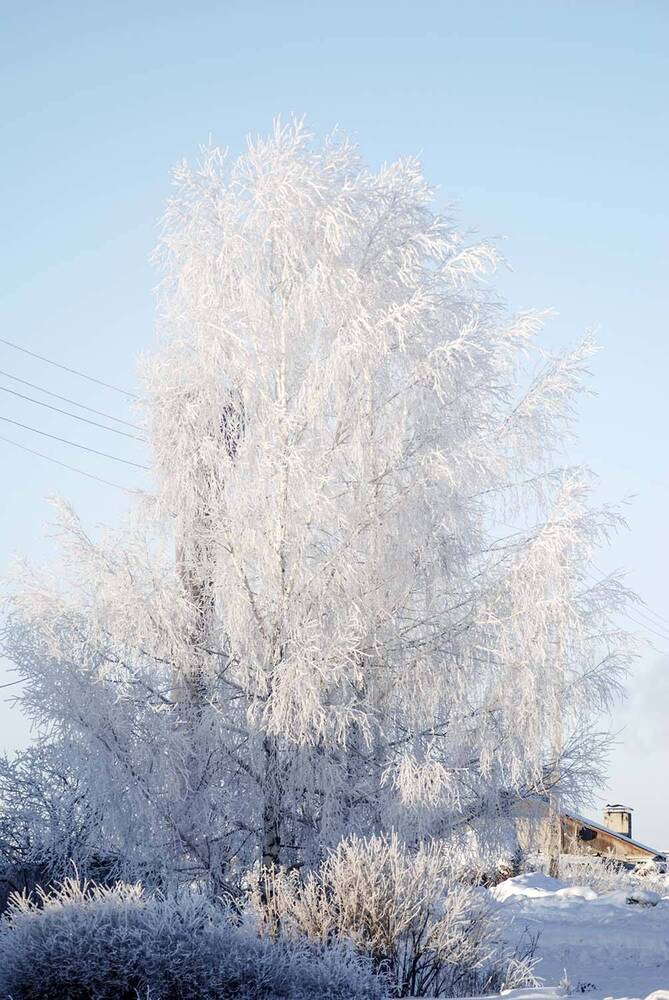 Photograph by Людмила Павловна