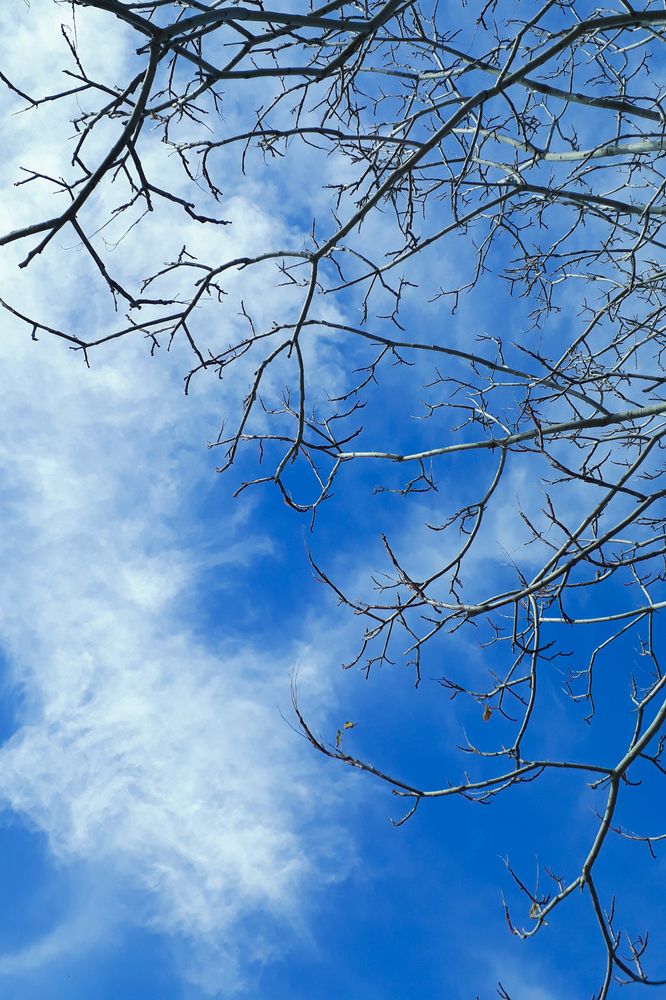 Photograph by razie roholaminy