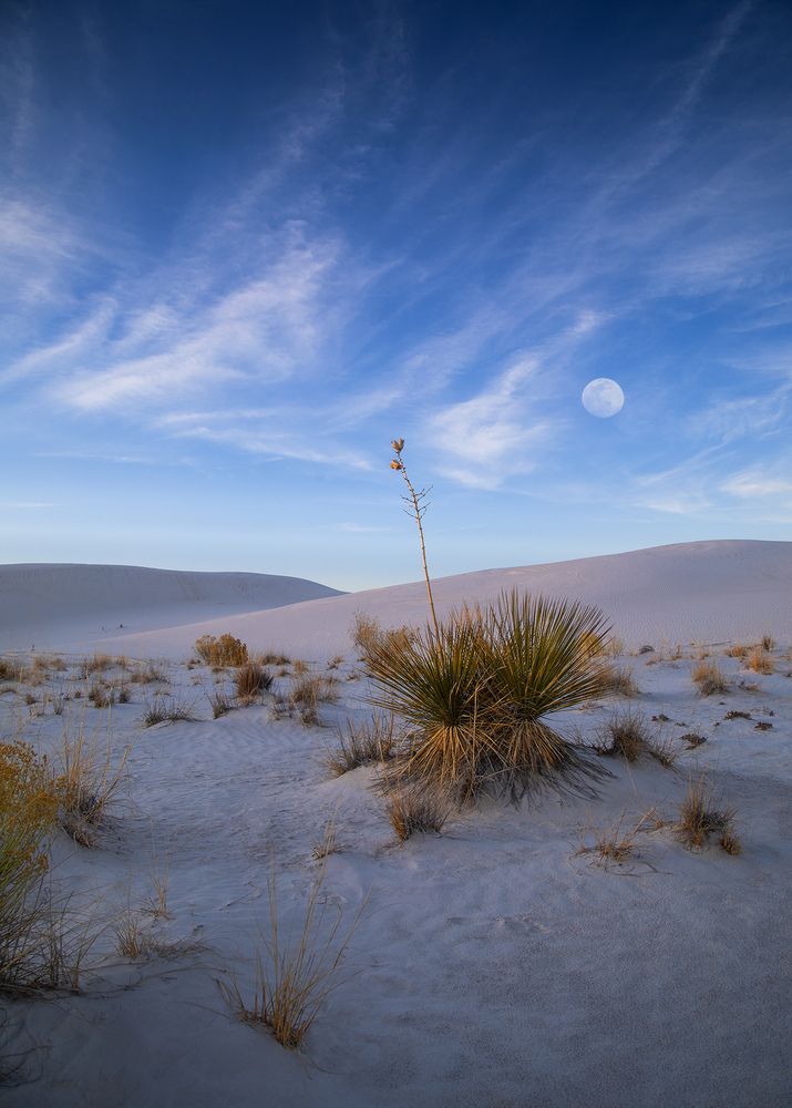 Photograph by Anferow Lana