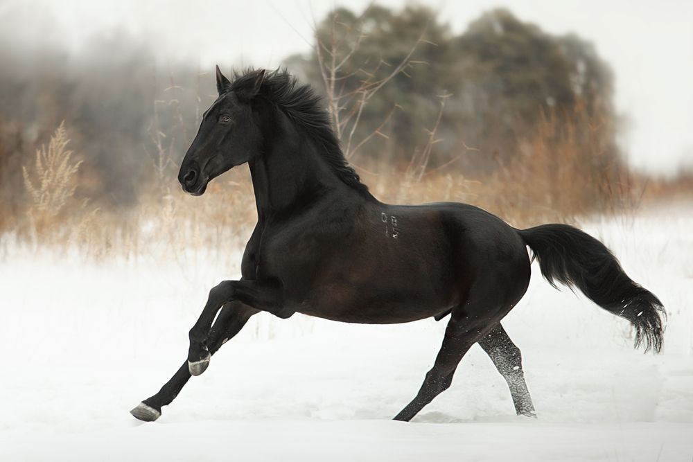 Photograph by Дарья Ералева