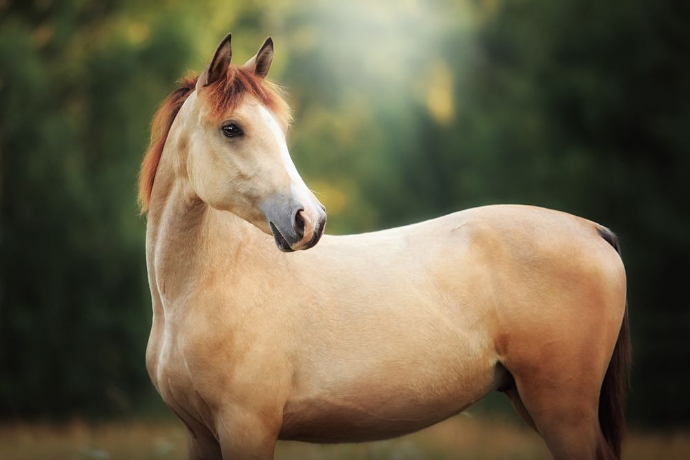 Photograph by Дарья Ералева