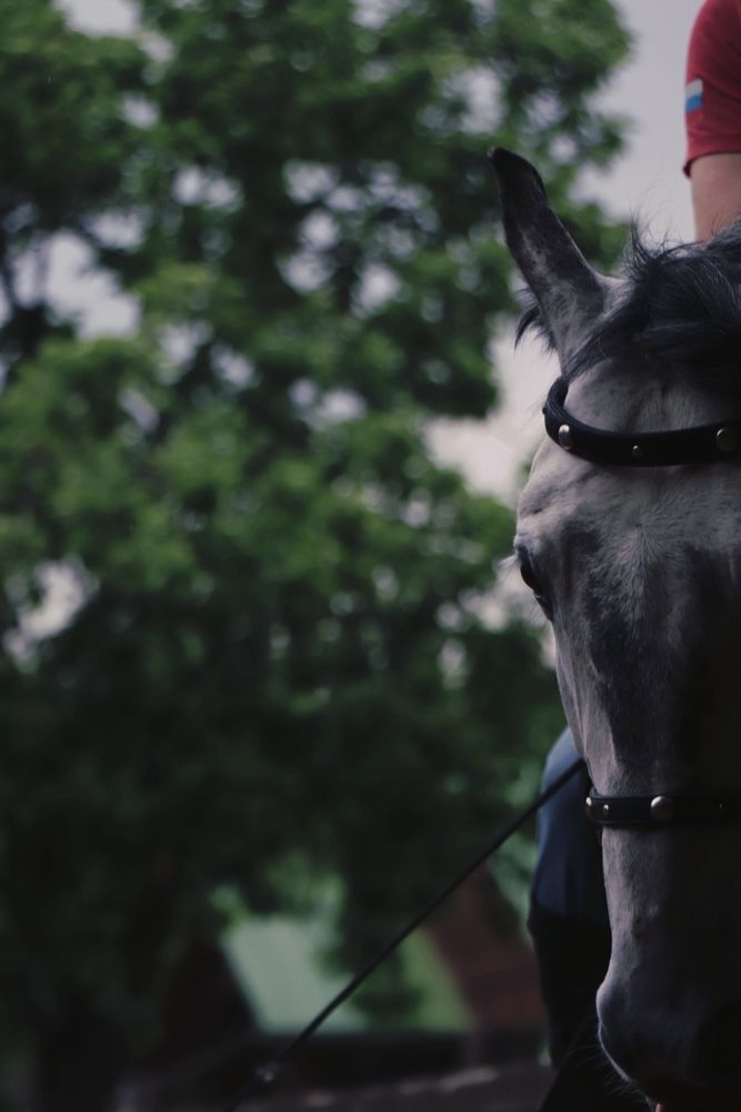 Photograph by Валерия Лунина