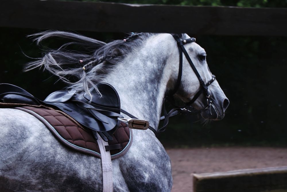 Photograph by Валерия Лунина