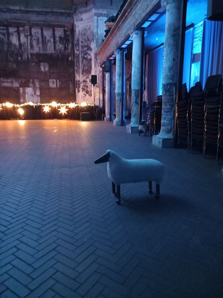 Фотография автора Анастасия