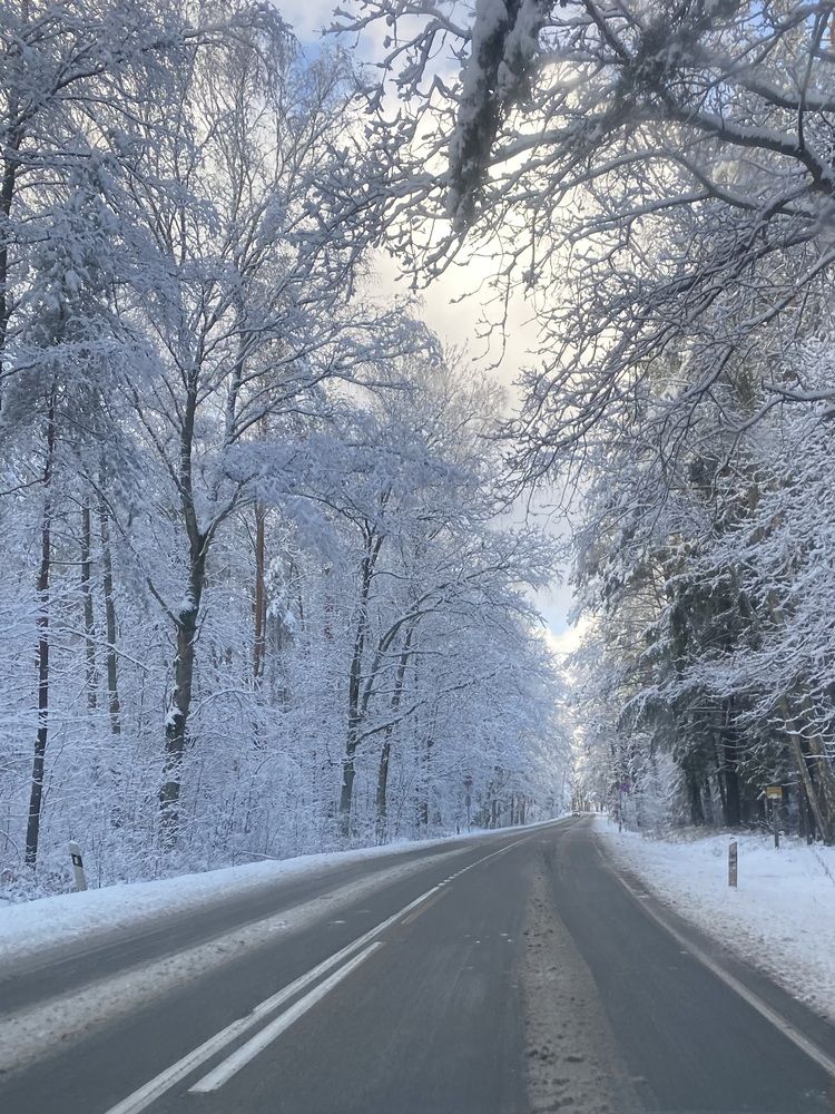 Photograph by Жанна Колесникова