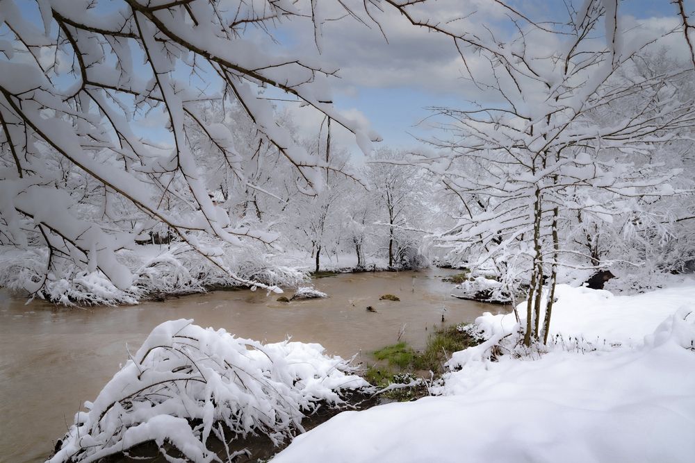 Photograph by Алексей Мякота