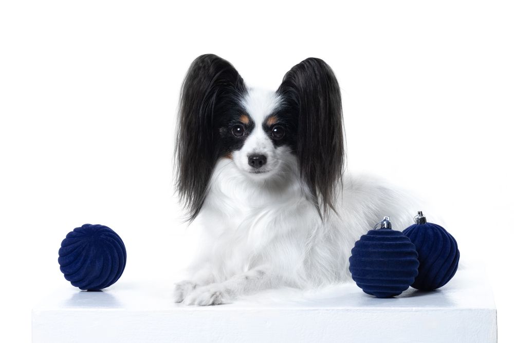 Photograph by Алина Дудорова