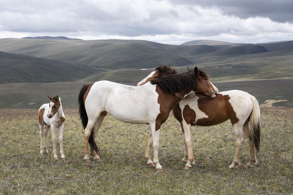 Фотография автора Елена Вторушина