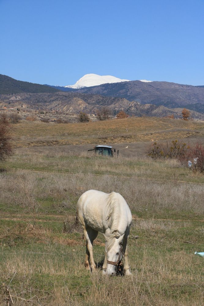 Photograph by Cengiz Yalcin