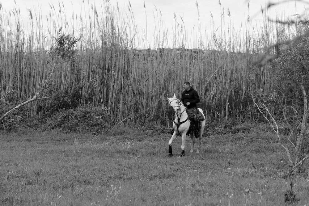 Photograph by Александр Кучерявый