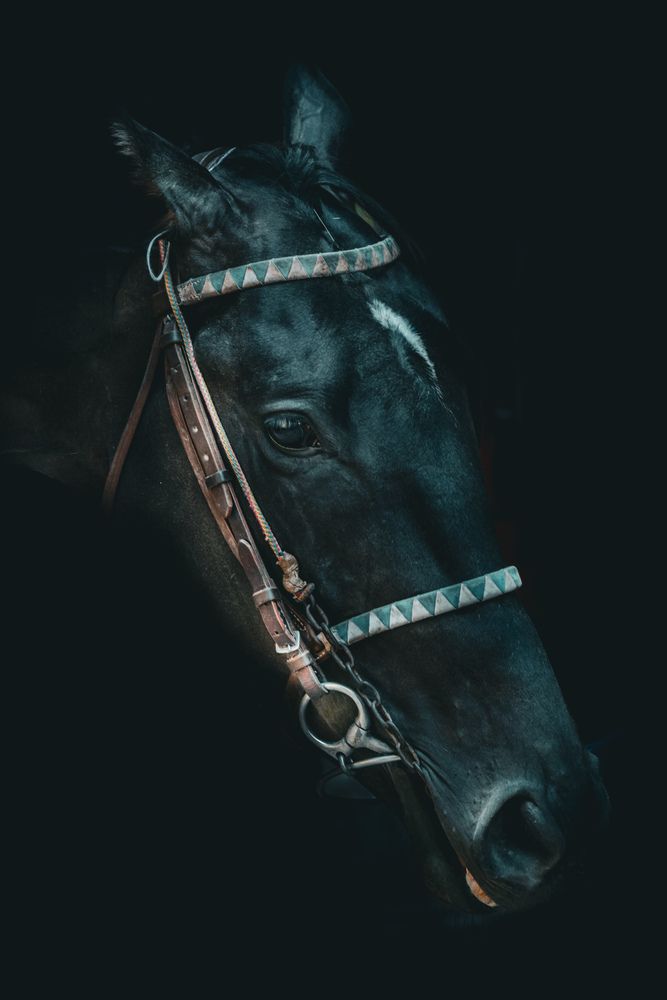 Фотография автора Silvina Sánchez