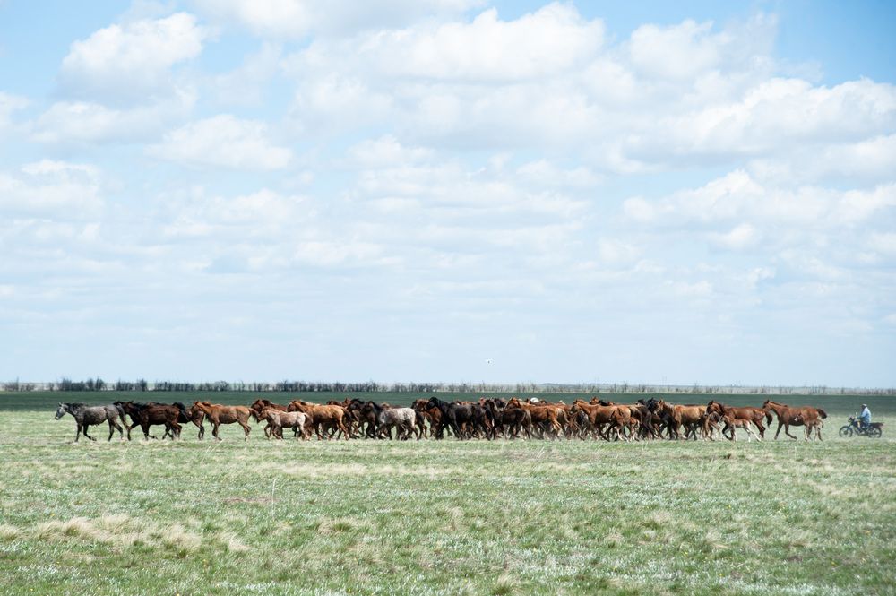 Photograph by Александр Кучерявый