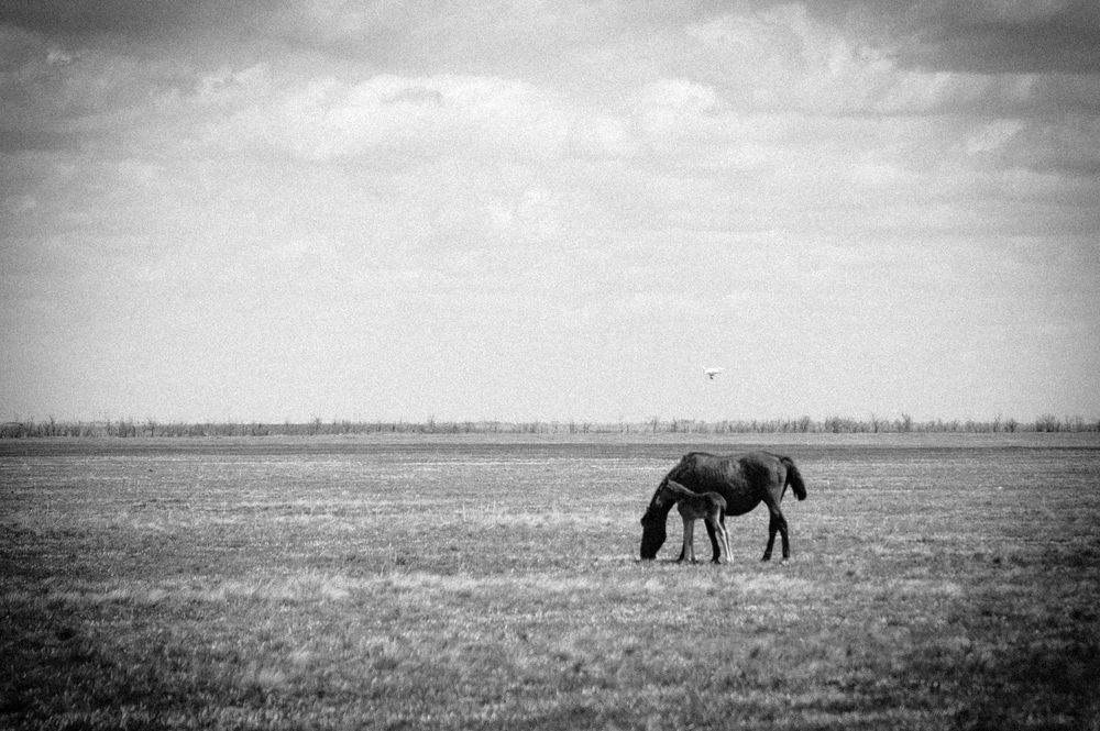 Photograph by Александр Кучерявый