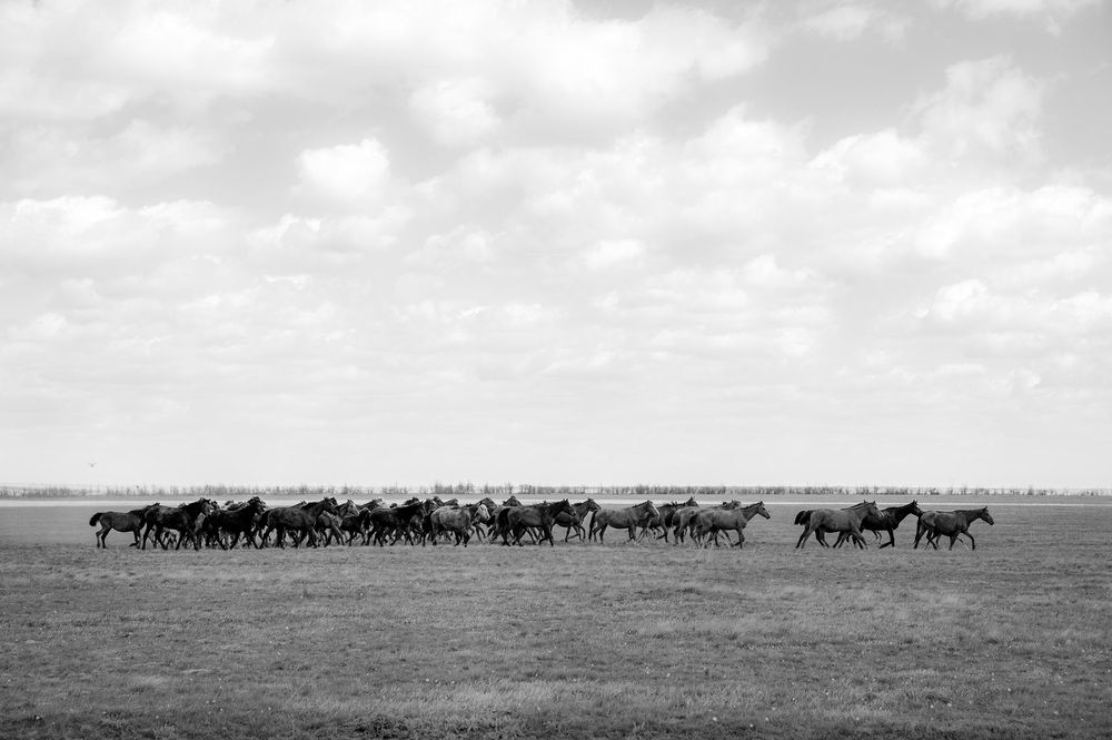 Photograph by Александр Кучерявый