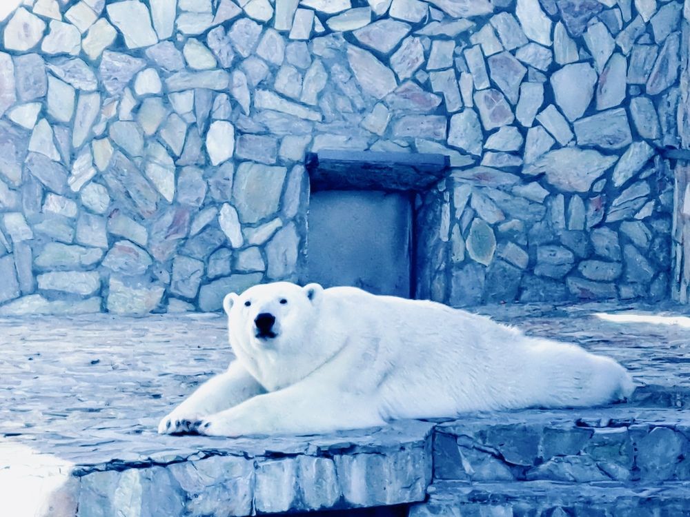 Photograph by Елена Маркова