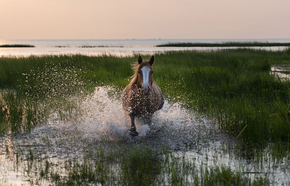Фотография автора Елена Вторушина